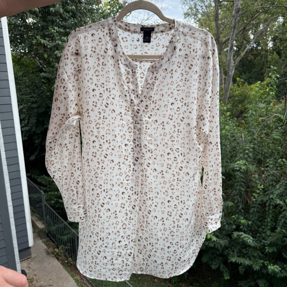 Ann Taylor Cream and Brown Blouse